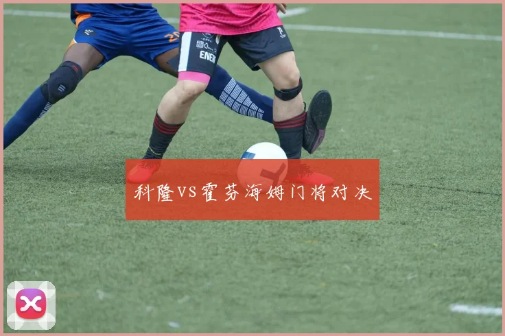 科隆vs霍芬海姆门将对决